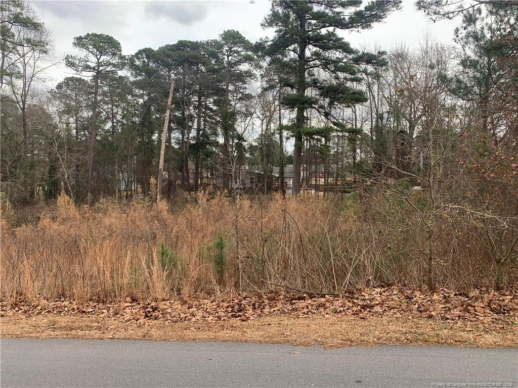0 Brookridge Drive Property Photo 4