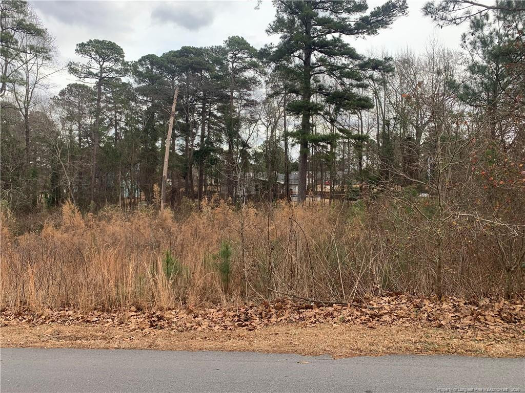 0 Brookridge Drive Property Photo 5