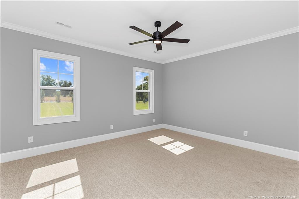 87 Croatoke Court Property Photo 18