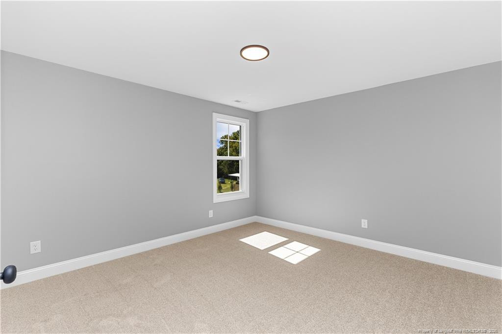 87 Croatoke Court Property Photo 29