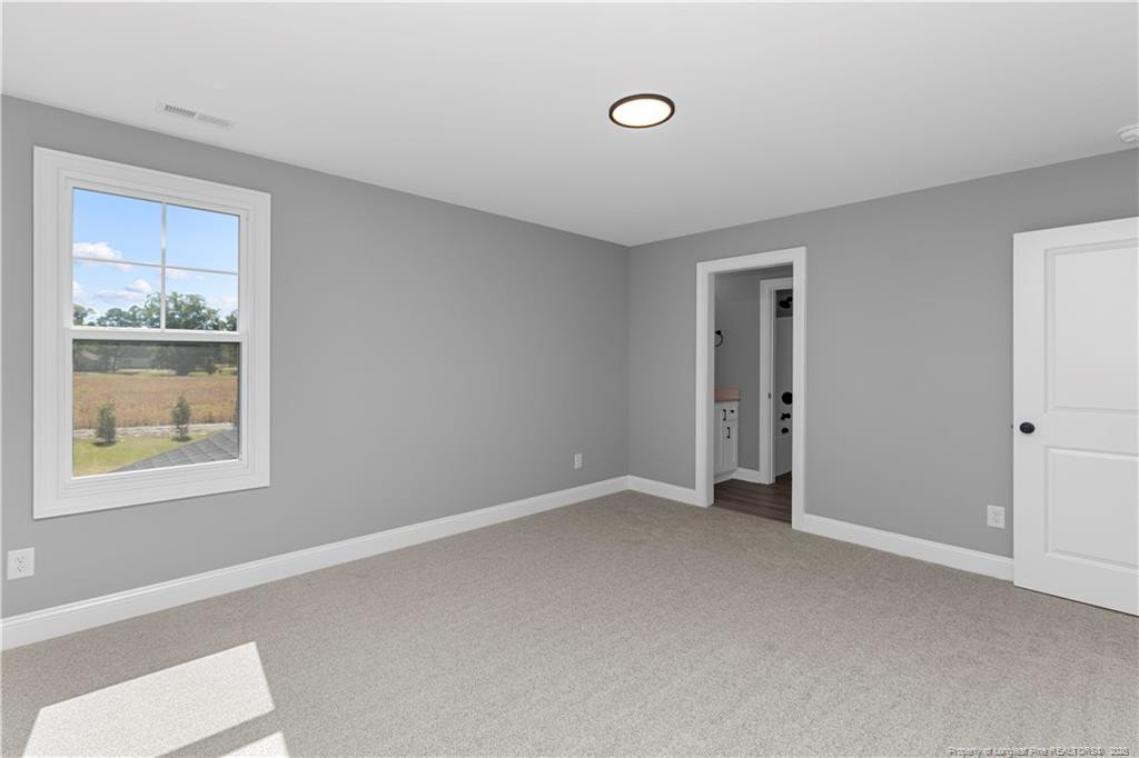87 Croatoke Court Property Photo 31