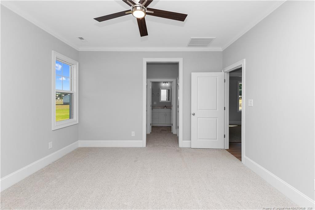 54 Croatoke Court Property Photo 19