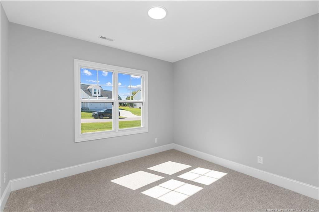 54 Croatoke Court Property Photo 22