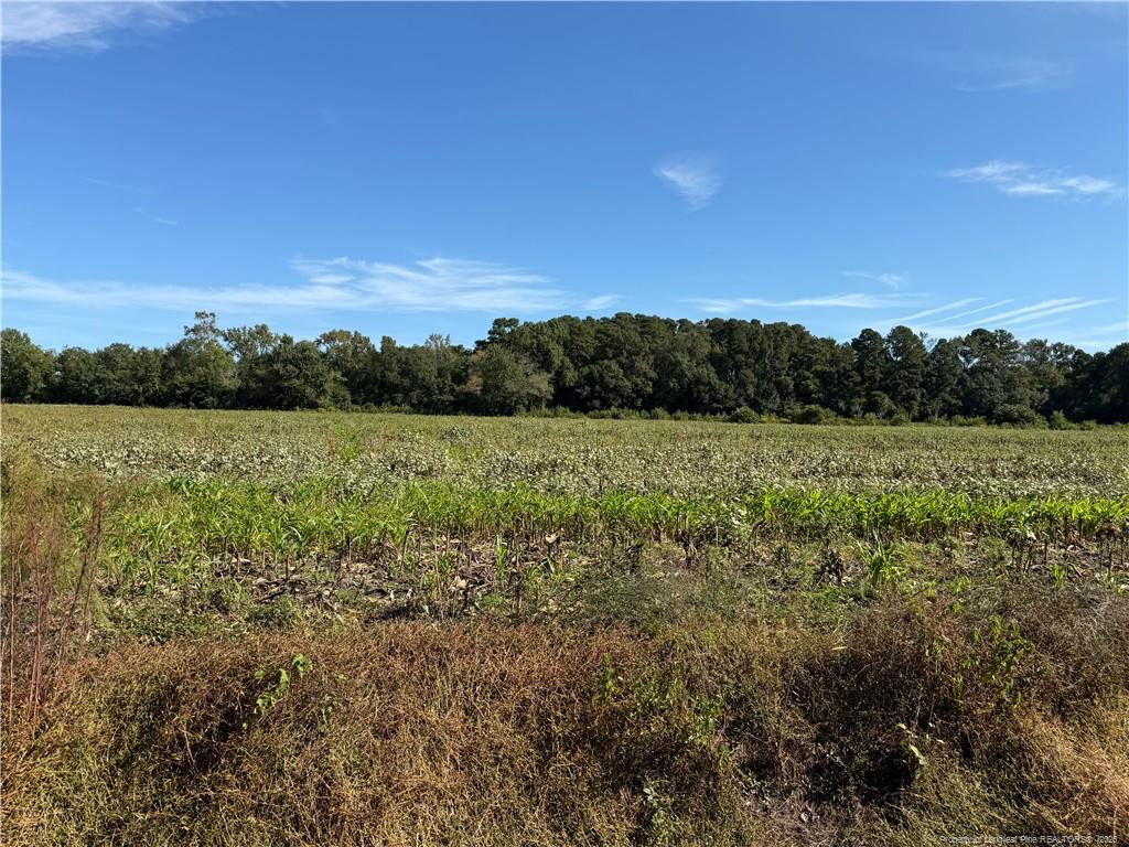 Deese Road Property Photo 1