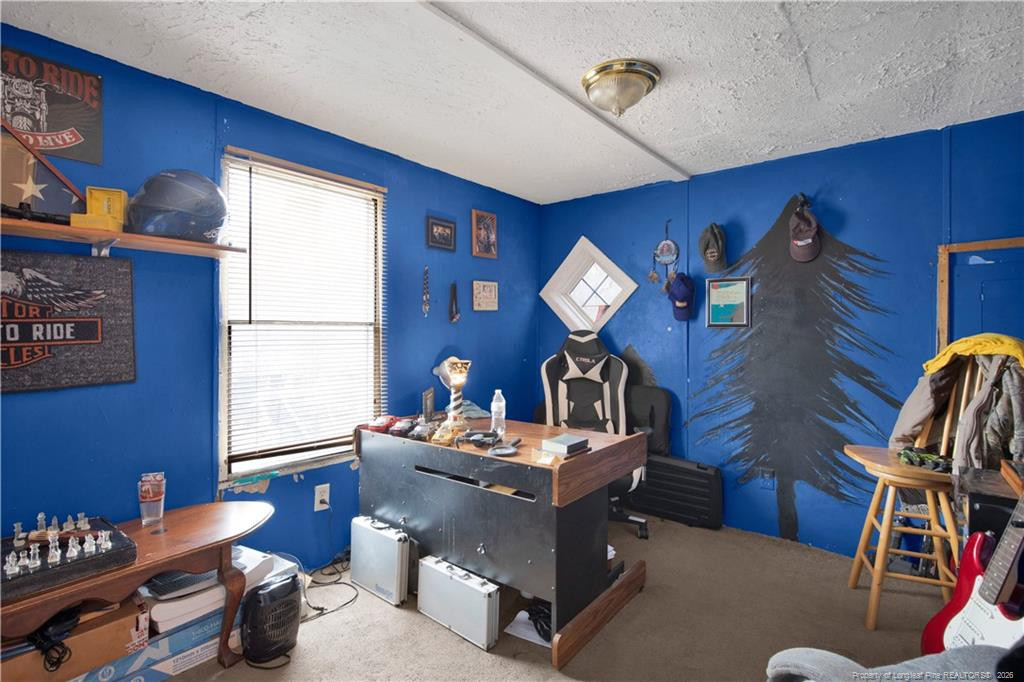 8521 Candlebrush Drive Property Photo 14