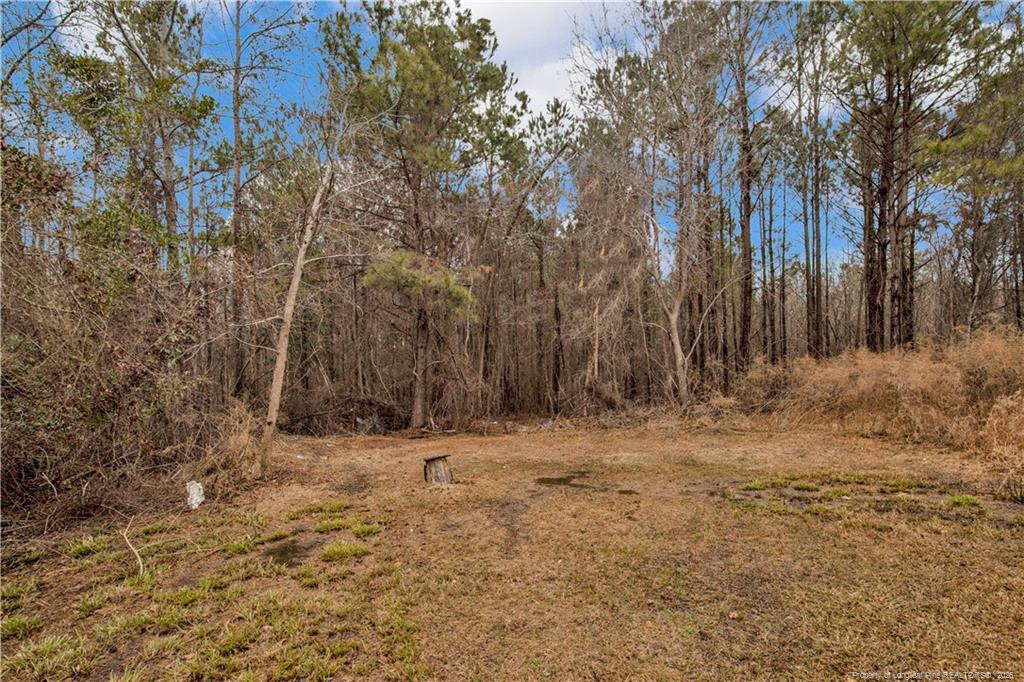 8521 Candlebrush Drive Property Photo 17