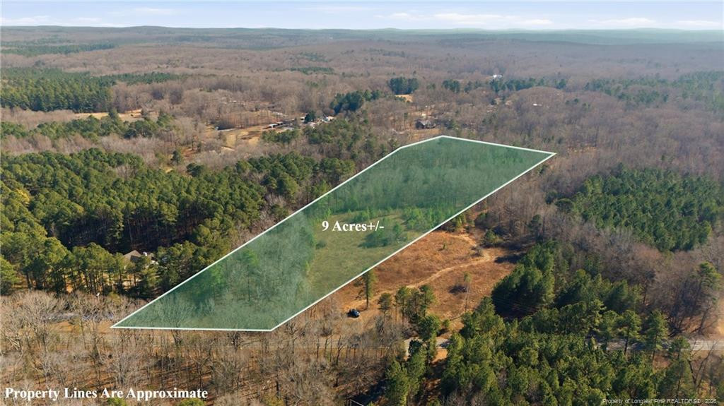 Lot B 1600 Mt. Willing Road Property Photo 1