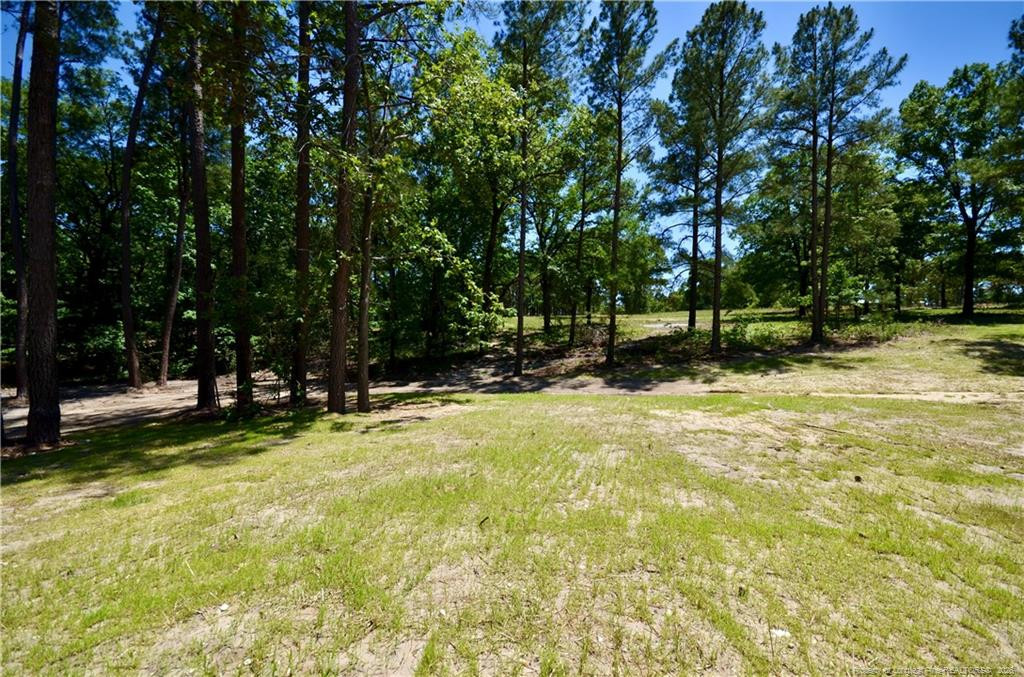 324 D L Phillips (lot 2) Lane Property Photo 38
