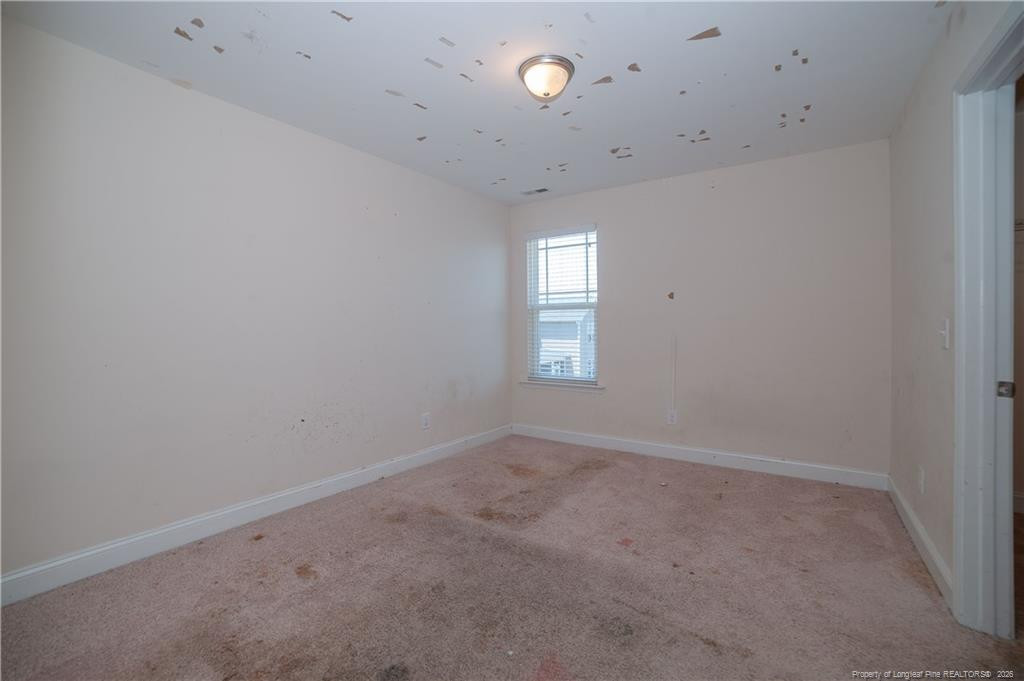 4410 Narrow Pine Court Property Photo 18