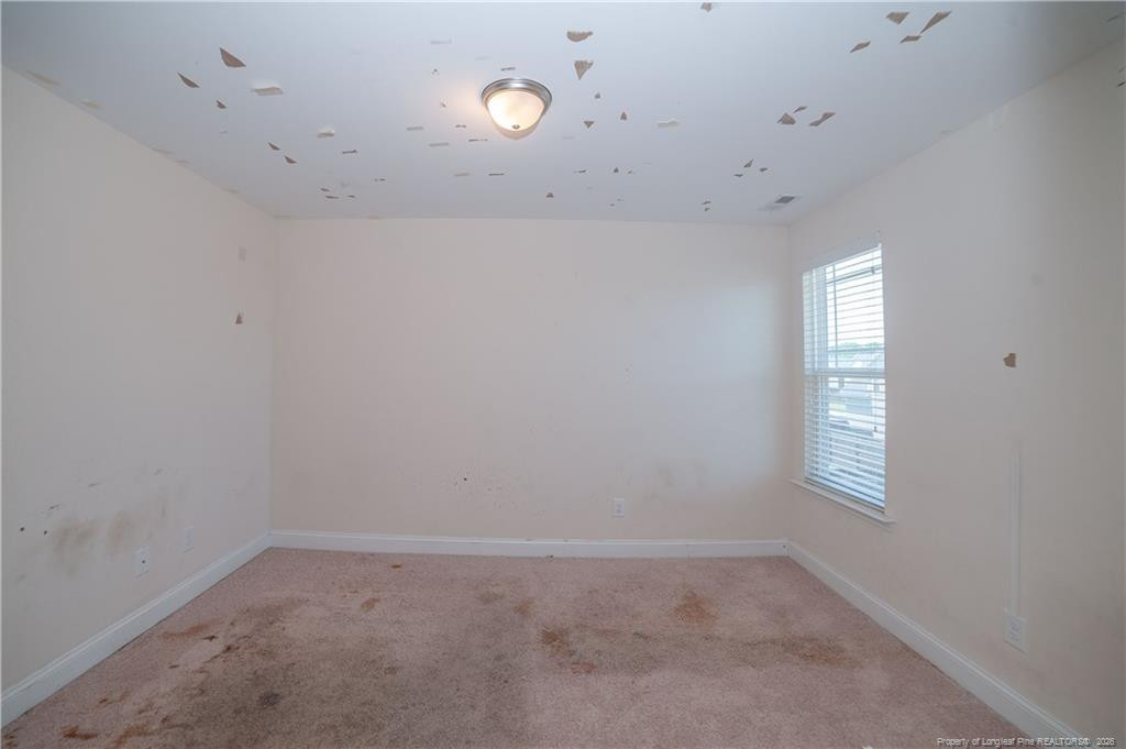 4410 Narrow Pine Court Property Photo 19