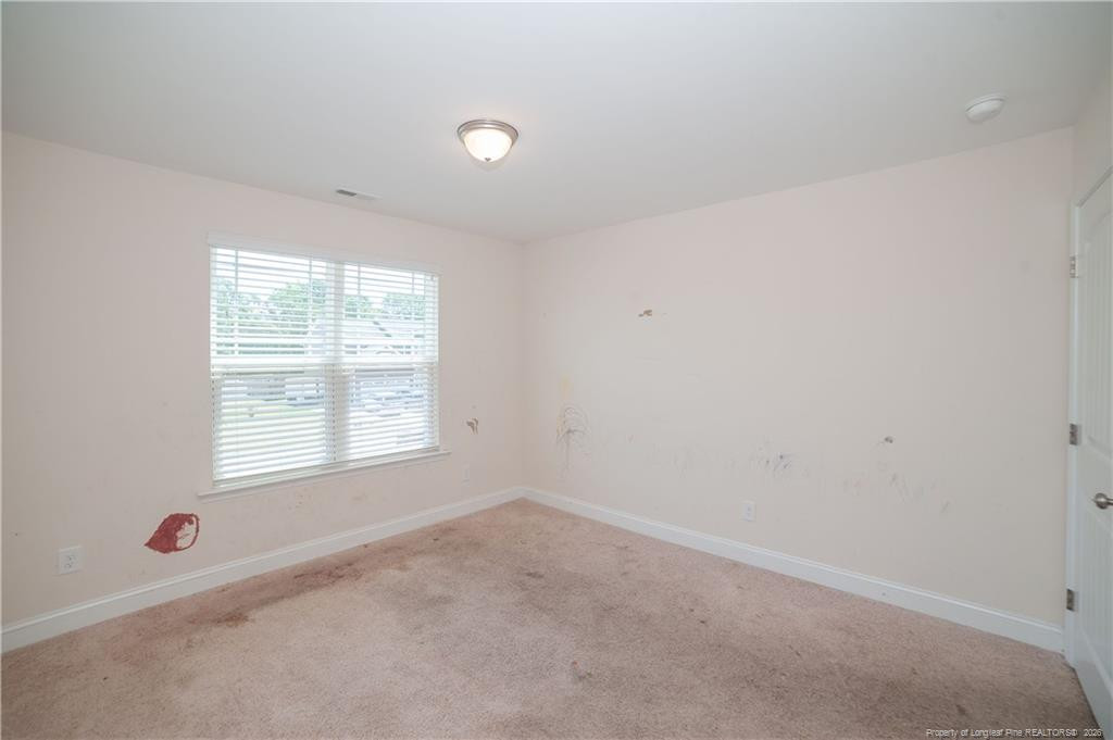 4410 Narrow Pine Court Property Photo 24