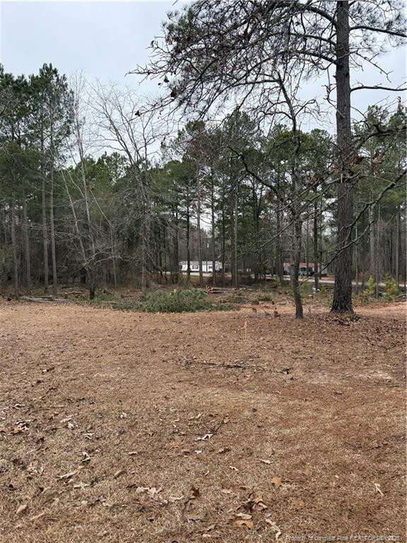 108 Richfield Court Property Photo 23