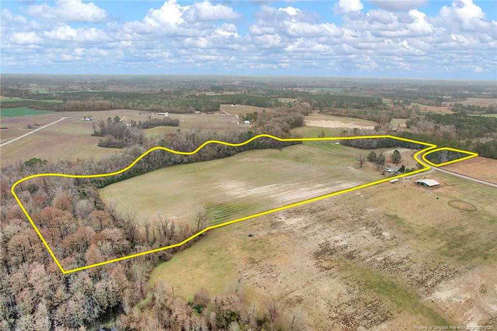 Pittman Loop Road Property Photo 8