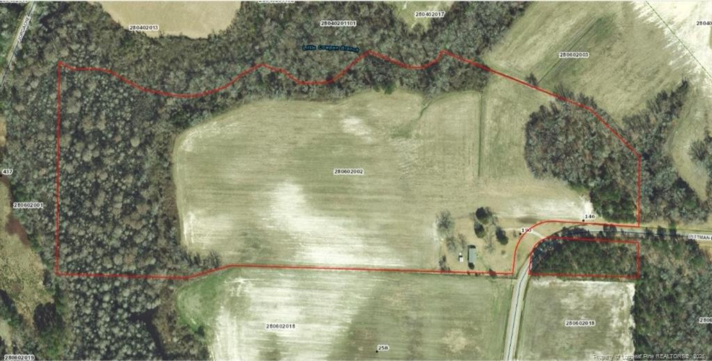 Pittman Loop Road Property Photo 14
