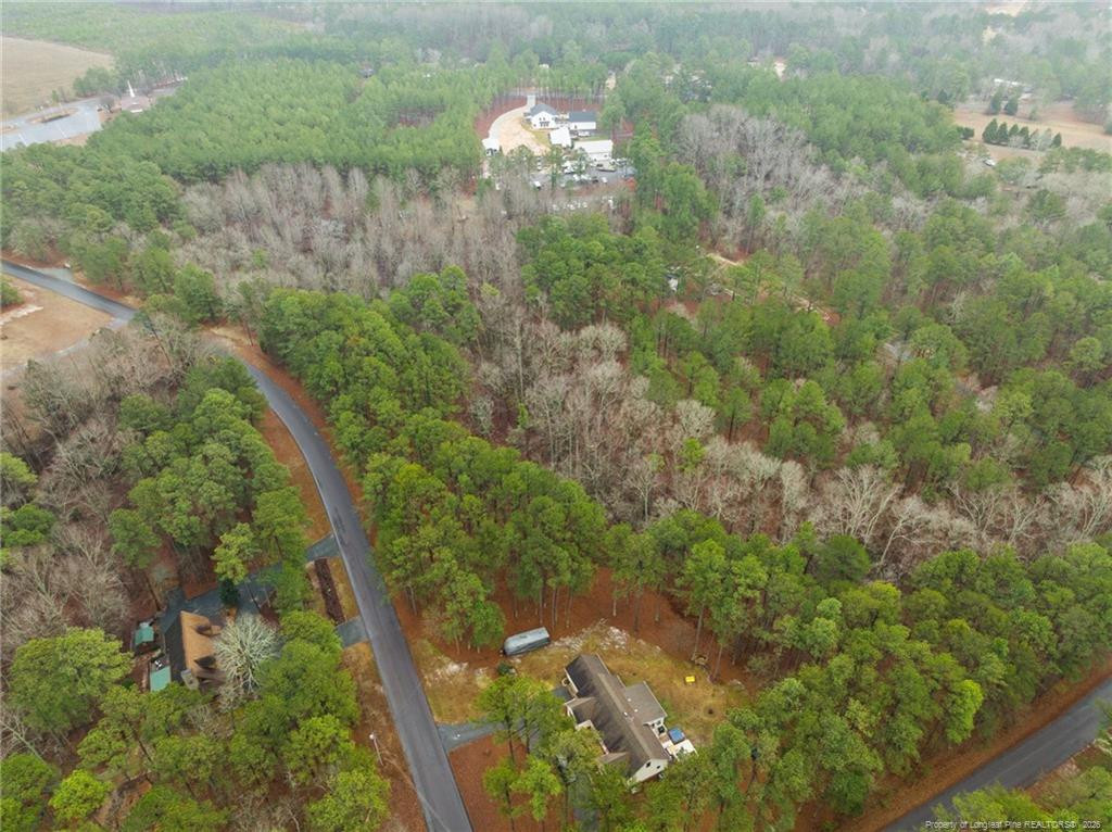 221 Pebble Drive Property Photo 9