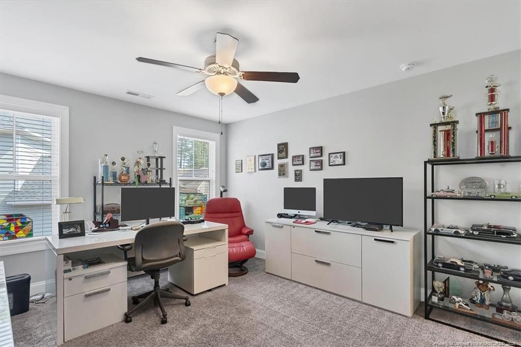 10 Heatherspring Way Property Photo 36