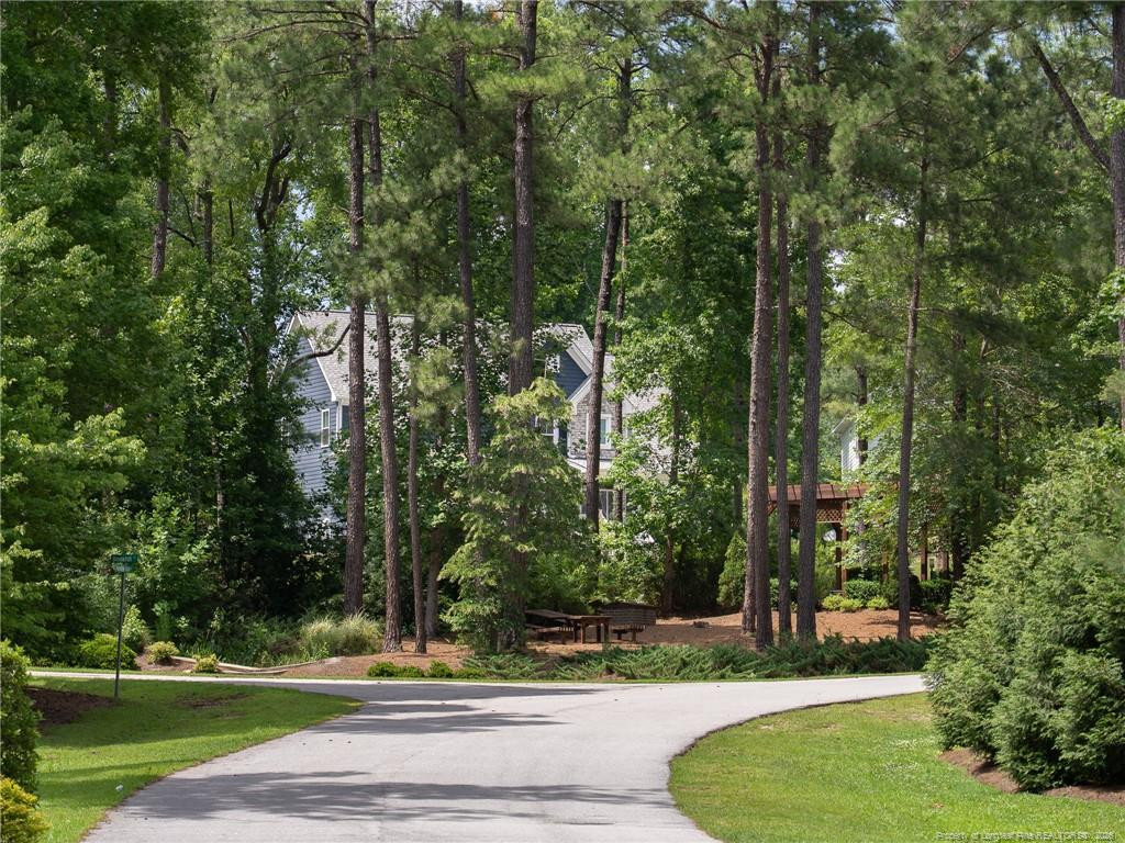 10 Heatherspring Way Property Photo 50
