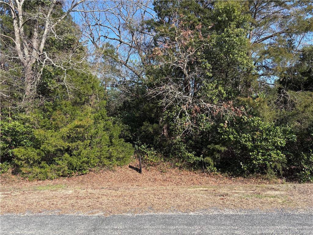 Mabry Road Property Photo 1