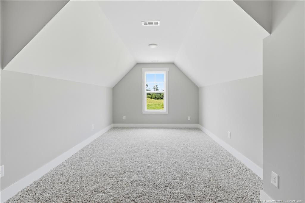 244 Cambray Downs (lot 10) Court Property Photo 46