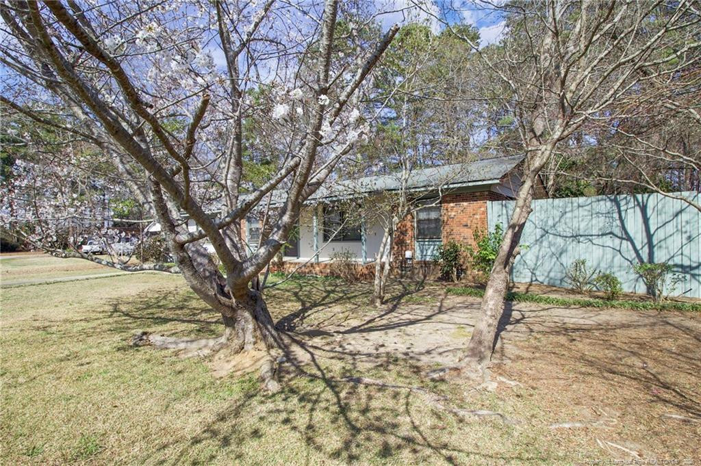 523 Varga Street Property Photo 2