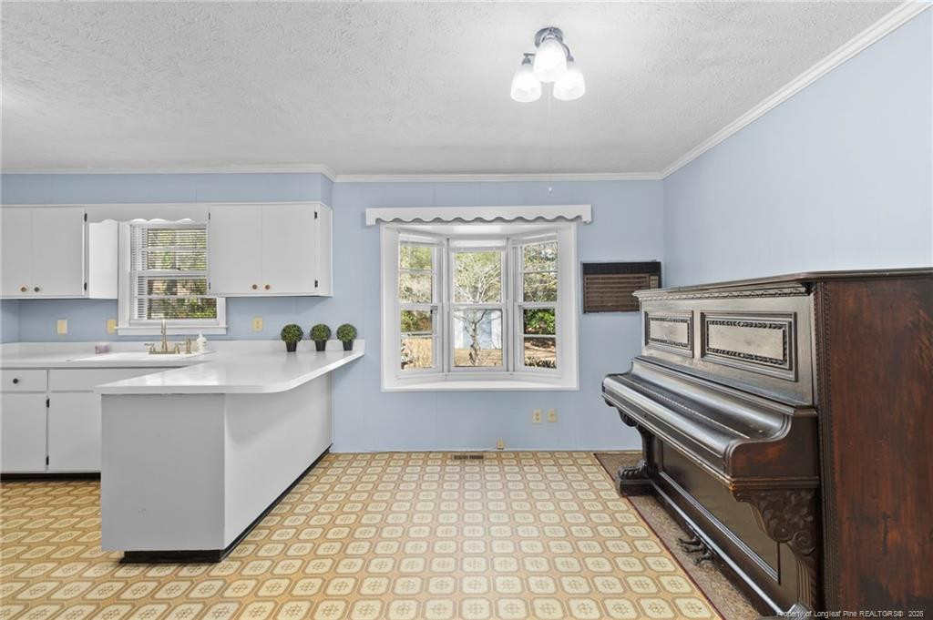 523 Varga Street Property Photo 8