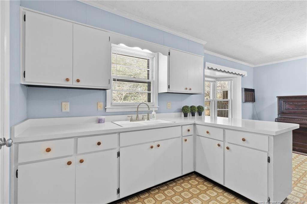 523 Varga Street Property Photo 11