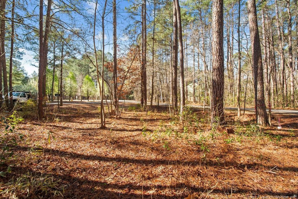 797 Daphne Lane Property Photo 9