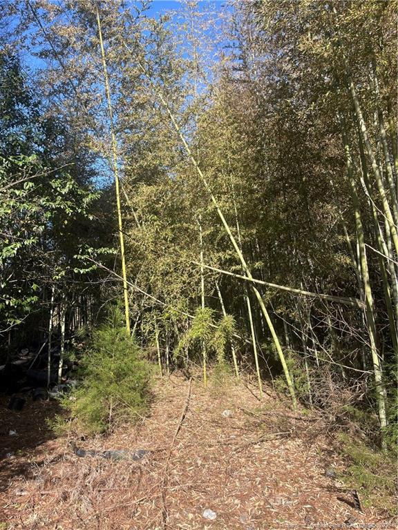 4636 Bragg Boulevard Property Photo 20