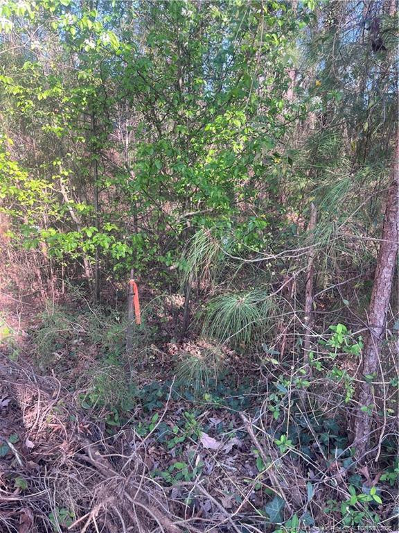 4636 Bragg Boulevard Property Photo 21