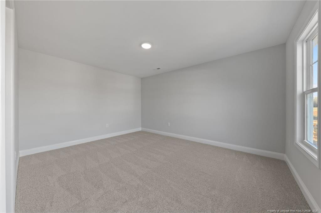 112 Meadow Sage (lot 115) Street Property Photo 30