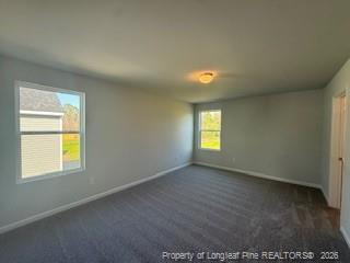48 Stout Landing Property Photo 33