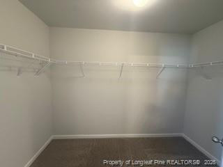 48 Stout Landing Property Photo 36