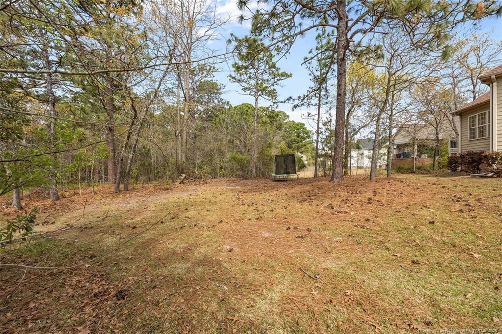 3205 Stratsfield Court Property Photo 46