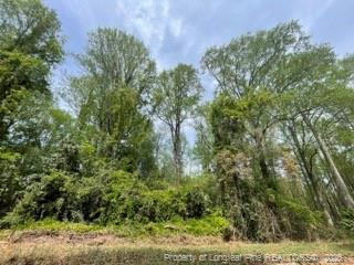 474 N Gaines Street Property Photo 1