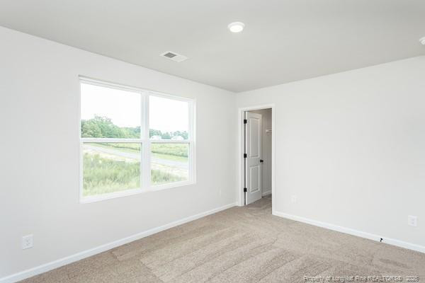 198 Laforce Lane Property Photo 24
