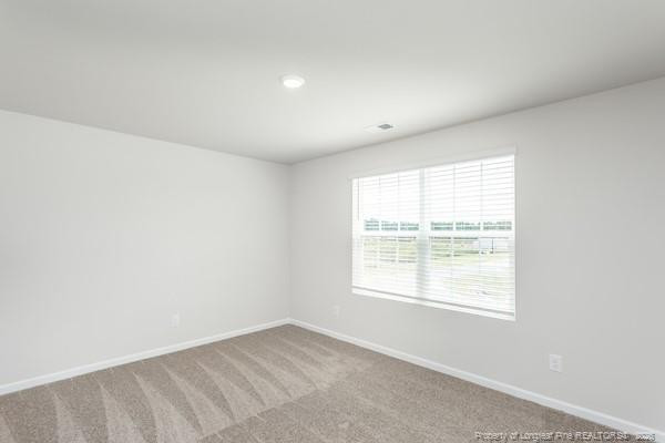 198 Laforce Lane Property Photo 26