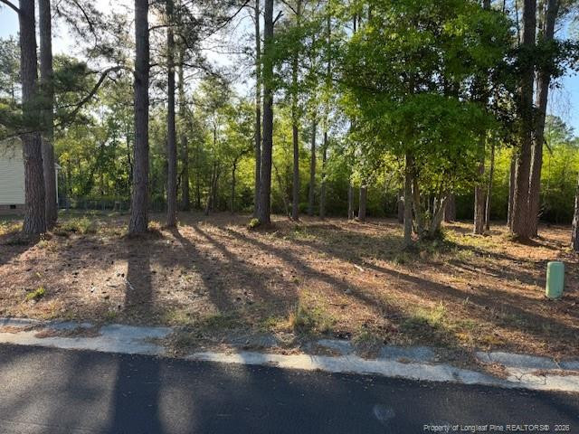 213 Waddell Drive Property Photo 1