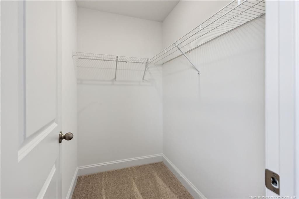51 Cornelia Crossing Property Photo 32
