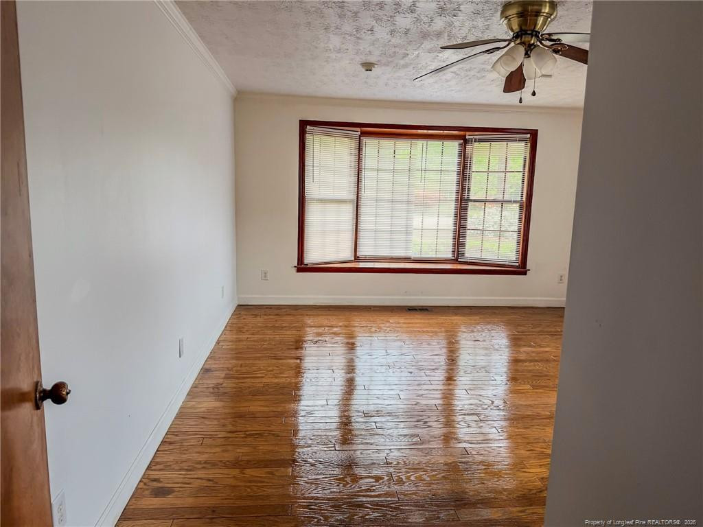 598 Forest Road Property Photo 17