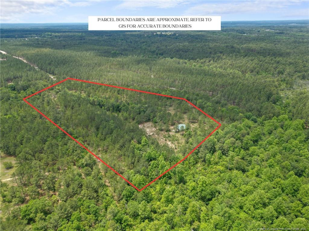 Nighthawk Loop Property Photo 1