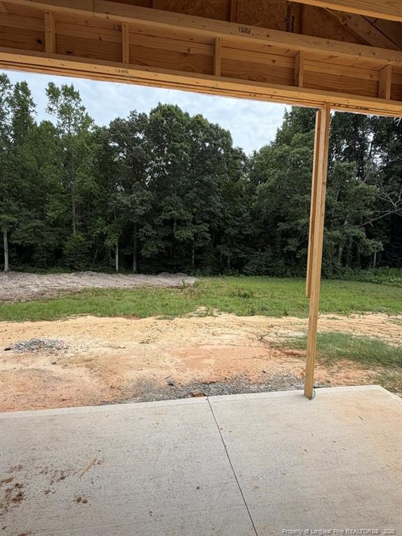 292 Black Duck (lot 87) Lane Property Photo 13
