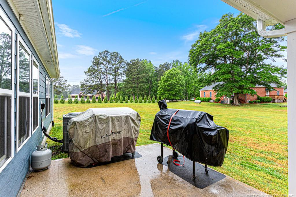 405 Thorny Branch Drive Property Photo 14