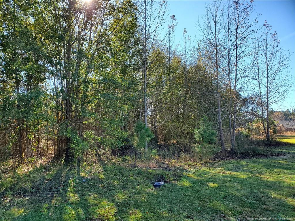 220 & 217 Kendall Court Property Photo 1