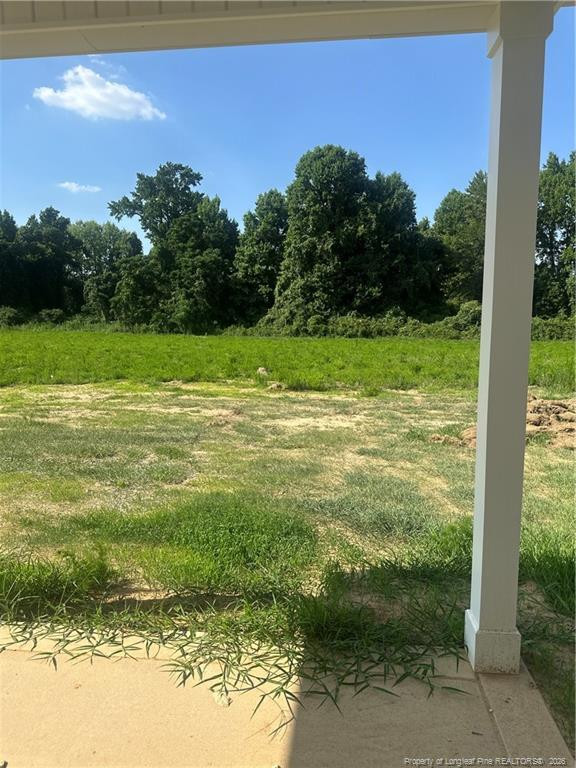 161 Margot Manor Drive Property Photo 6