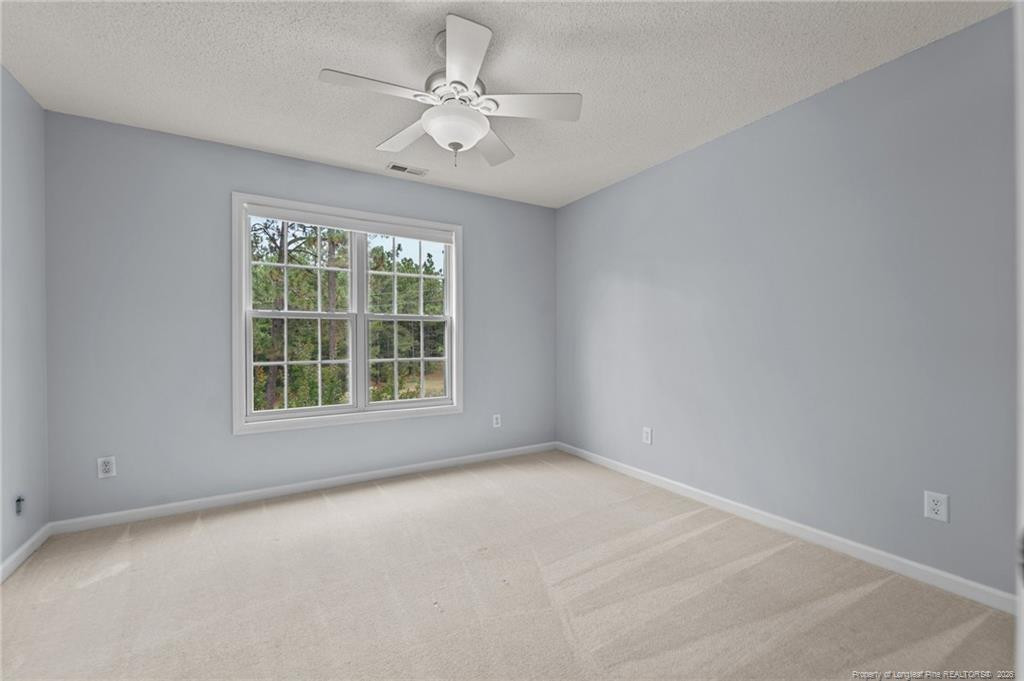 1316 Devonshire Trail Property Photo 33