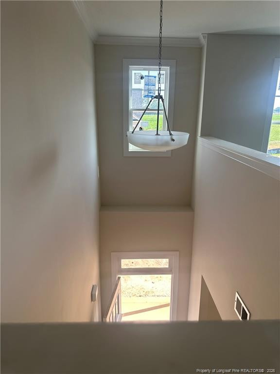 189 Margot Manor Drive Property Photo 13