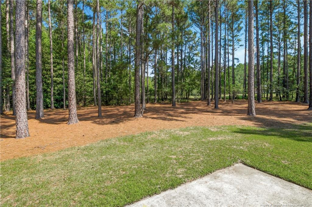 11 Rolling Pines Drive Property Photo 40