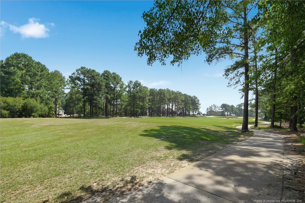 11 Rolling Pines Drive Property Photo 41