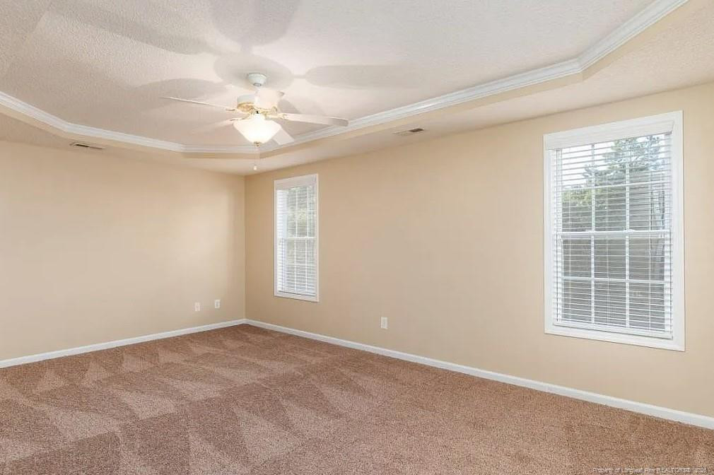 52 Forest Mountain Courts Property Photo 9