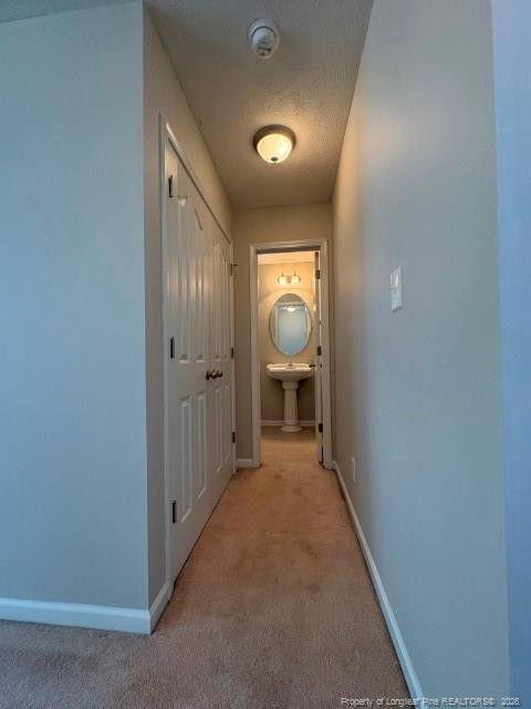 48 Old Field Loop Property Photo 13